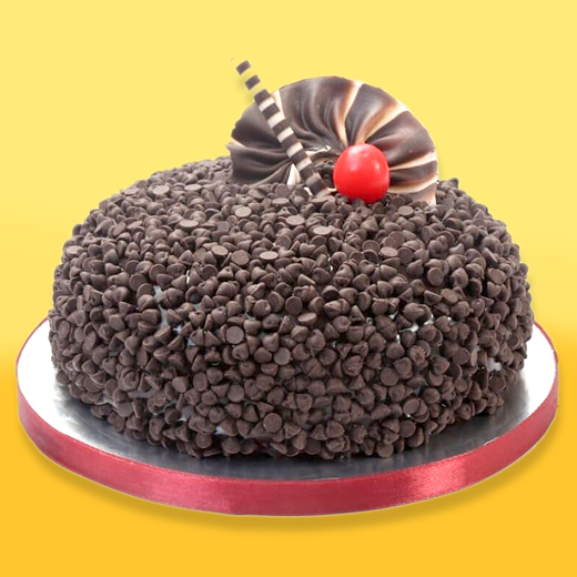 Baking Bond Chocochip Cake