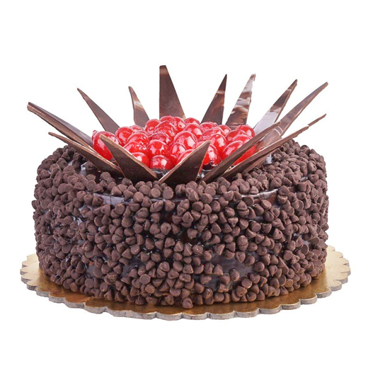 Baking Bond Chocochip Cake