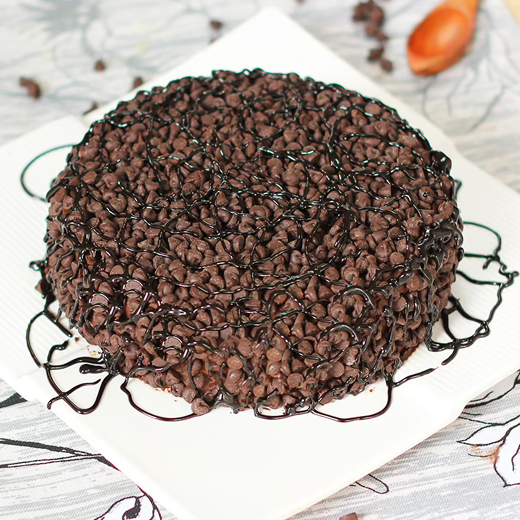 Baking Bond Chocochip Cake